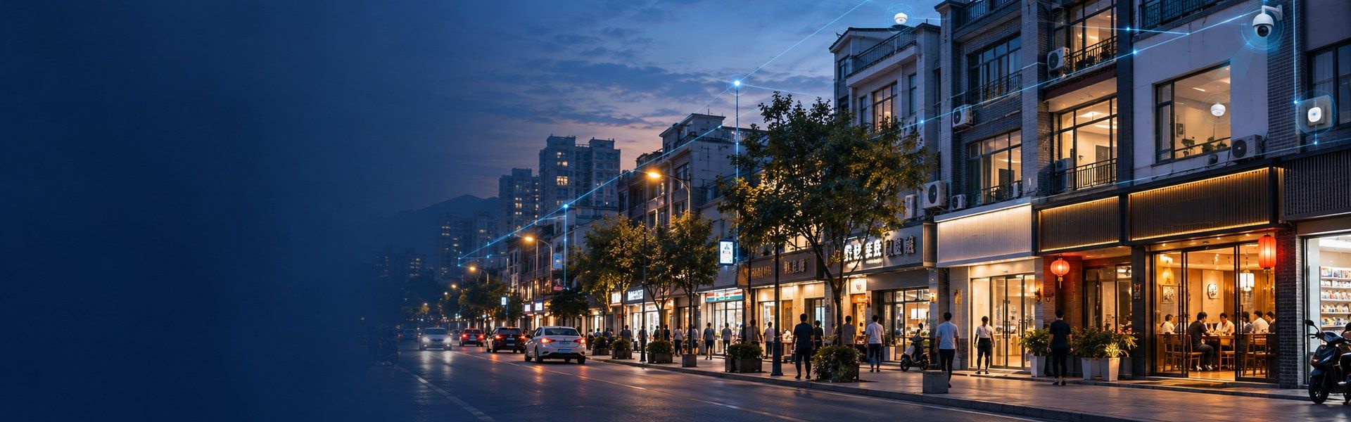 洞察